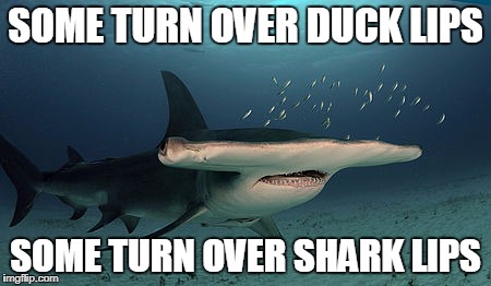 SOME TURN OVER DUCK LIPS SOME TURN OVER SHARK LIPS | made w/ Imgflip meme maker