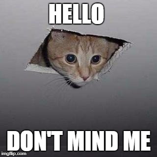 Ceiling Cat Meme | HELLO; DON'T MIND ME | image tagged in memes,ceiling cat | made w/ Imgflip meme maker