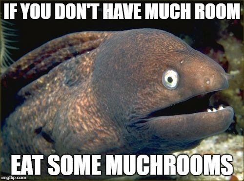 Bad Joke Eel Meme | IF YOU DON'T HAVE MUCH ROOM; EAT SOME MUCHROOMS | image tagged in memes,bad joke eel | made w/ Imgflip meme maker