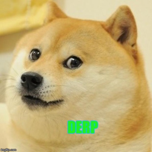 Doge | DERP | image tagged in memes,doge | made w/ Imgflip meme maker