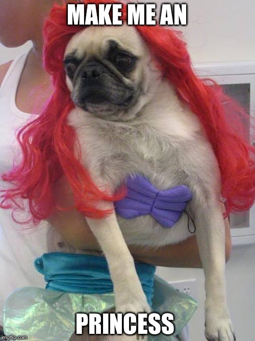 mermaid pug | MAKE ME AN; PRINCESS | image tagged in mermaid pug | made w/ Imgflip meme maker