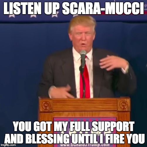 support your Scara-mucci | LISTEN UP SCARA-MUCCI; YOU GOT MY FULL SUPPORT AND BLESSING UNTIL I FIRE YOU | image tagged in scaramucci,truth hurts,leaks,donald trump approves | made w/ Imgflip meme maker