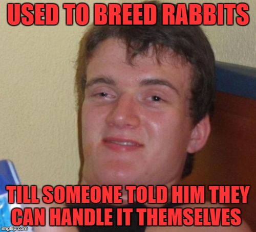 10 Guy Meme | USED TO BREED RABBITS; TILL SOMEONE TOLD HIM THEY CAN HANDLE IT THEMSELVES | image tagged in memes,10 guy | made w/ Imgflip meme maker