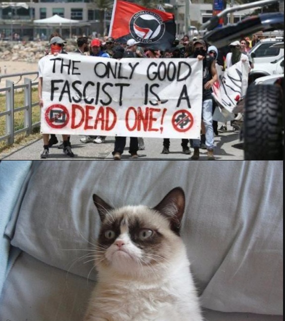 Grumpy Cat vs Antifa Blank Meme Template