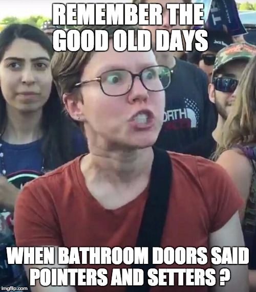 super_triggered | REMEMBER THE GOOD OLD DAYS; WHEN BATHROOM DOORS SAID POINTERS AND SETTERS ? | image tagged in super_triggered | made w/ Imgflip meme maker