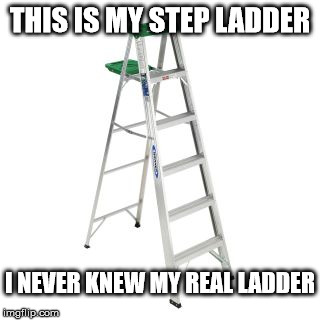 Life has it's ups and downs. | THIS IS MY STEP LADDER; I NEVER KNEW MY REAL LADDER | image tagged in memes | made w/ Imgflip meme maker