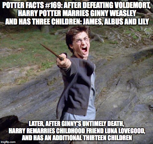 Harry potter |  POTTER FACTS #169: AFTER DEFEATING VOLDEMORT, HARRY POTTER MARRIES GINNY WEASLEY AND HAS THREE CHILDREN: JAMES, ALBUS AND LILY; LATER, AFTER GINNY'S UNTIMELY DEATH, HARRY REMARRIES CHILDHOOD FRIEND LUNA LOVEGOOD, AND HAS AN ADDITIONAL THIRTEEN CHILDREN | image tagged in harry potter | made w/ Imgflip meme maker