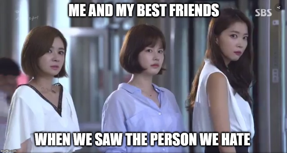 Don't mess with us | ME AND MY BEST FRIENDS; WHEN WE SAW THE PERSON WE HATE | image tagged in bitches,best friends | made w/ Imgflip meme maker