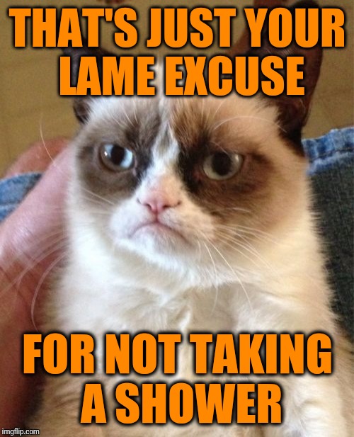 Grumpy Cat Meme | THAT'S JUST YOUR LAME EXCUSE FOR NOT TAKING A SHOWER | image tagged in memes,grumpy cat | made w/ Imgflip meme maker