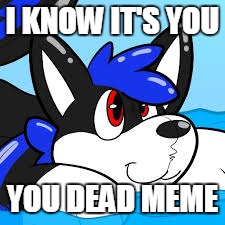 I KNOW IT'S YOU; YOU DEAD MEME | image tagged in memes,dead meme | made w/ Imgflip meme maker
