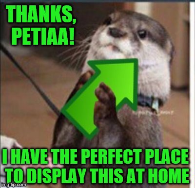THANKS, PETIAA! I HAVE THE PERFECT PLACE TO DISPLAY THIS AT HOME | made w/ Imgflip meme maker