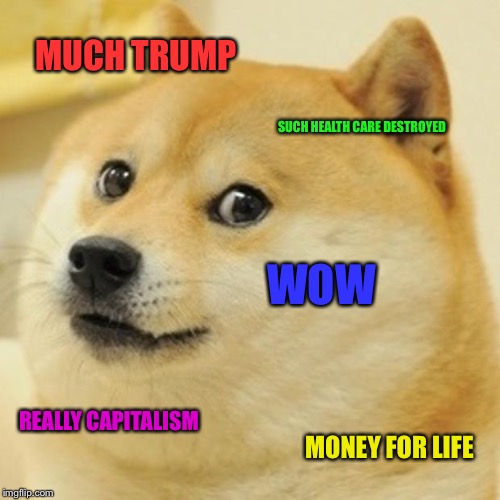 Doge | MUCH TRUMP; SUCH HEALTH CARE DESTROYED; WOW; REALLY CAPITALISM; MONEY FOR LIFE | image tagged in memes,doge | made w/ Imgflip meme maker