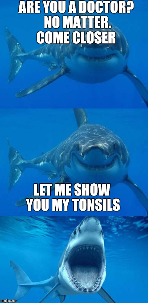It's a Trap! | ARE YOU A DOCTOR? NO MATTER. COME CLOSER; LET ME SHOW YOU MY TONSILS | image tagged in bad shark pun,its a trap | made w/ Imgflip meme maker