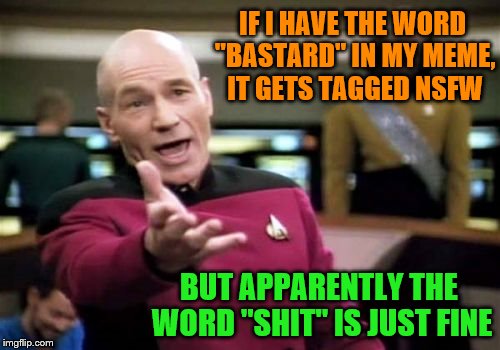 Picard Wtf Meme | IF I HAVE THE WORD "BASTARD" IN MY MEME, IT GETS TAGGED NSFW BUT APPARENTLY THE WORD "SHIT" IS JUST FINE | image tagged in memes,picard wtf | made w/ Imgflip meme maker
