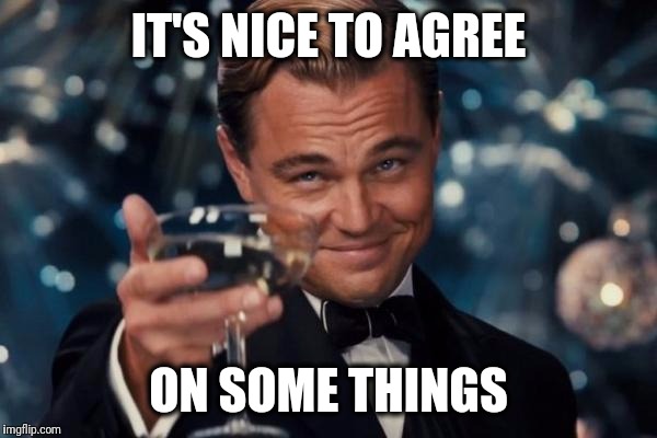 Leonardo Dicaprio Cheers Meme | IT'S NICE TO AGREE ON SOME THINGS | image tagged in memes,leonardo dicaprio cheers | made w/ Imgflip meme maker