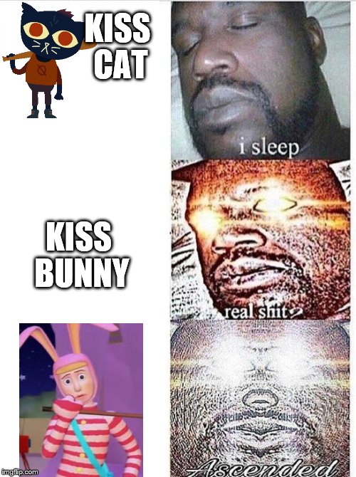 I sleep meme with ascended template KISS CAT; KISS BUNNY image tagged in i slee...
