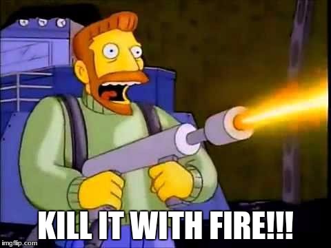 Kill it with fire | KILL IT WITH FIRE!!! | image tagged in kill it with fire | made w/ Imgflip meme maker
