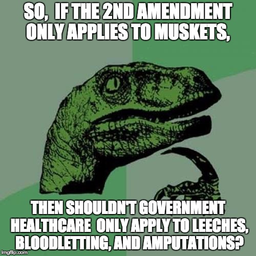 Philosoraptor Meme | SO,  IF THE 2ND AMENDMENT ONLY APPLIES TO MUSKETS, THEN SHOULDN'T GOVERNMENT HEALTHCARE  ONLY APPLY TO LEECHES, BLOODLETTING, AND AMPUTATIONS? | image tagged in memes,philosoraptor | made w/ Imgflip meme maker