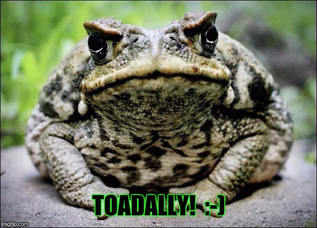 TOADALLY!  :-) | made w/ Imgflip meme maker