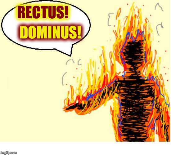 On Fire | RECTUS! DOMINUS! | image tagged in on fire | made w/ Imgflip meme maker