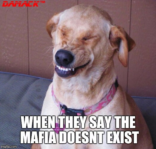 Mafiosa | image tagged in memes | made w/ Imgflip meme maker
