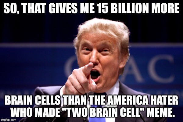 Your President BWHA-HA-HA! | SO, THAT GIVES ME 15 BILLION MORE BRAIN CELLS THAN THE AMERICA HATER WHO MADE "TWO BRAIN CELL" MEME. | image tagged in your president bwha-ha-ha | made w/ Imgflip meme maker