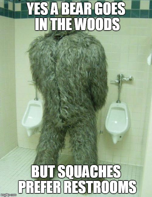 Bigfoot | YES A BEAR GOES IN THE WOODS; BUT SQUACHES PREFER RESTROOMS | image tagged in bigfoot | made w/ Imgflip meme maker