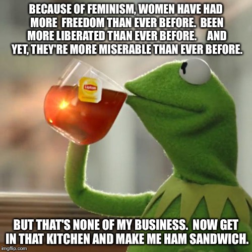 But That's None Of My Business | BECAUSE OF FEMINISM, WOMEN HAVE HAD MORE  FREEDOM THAN EVER BEFORE.  BEEN MORE LIBERATED THAN EVER BEFORE.  

 AND YET, THEY'RE MORE MISERABLE THAN EVER BEFORE. BUT THAT'S NONE OF MY BUSINESS.  NOW GET IN THAT KITCHEN AND MAKE ME HAM SANDWICH. | image tagged in memes,but thats none of my business,kermit the frog | made w/ Imgflip meme maker