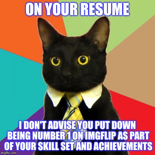 Business Cat Meme | ON YOUR RESUME; I DON'T ADVISE YOU PUT DOWN BEING NUMBER 1 ON IMGFLIP AS PART OF YOUR SKILL SET AND ACHIEVEMENTS | image tagged in memes,business cat | made w/ Imgflip meme maker