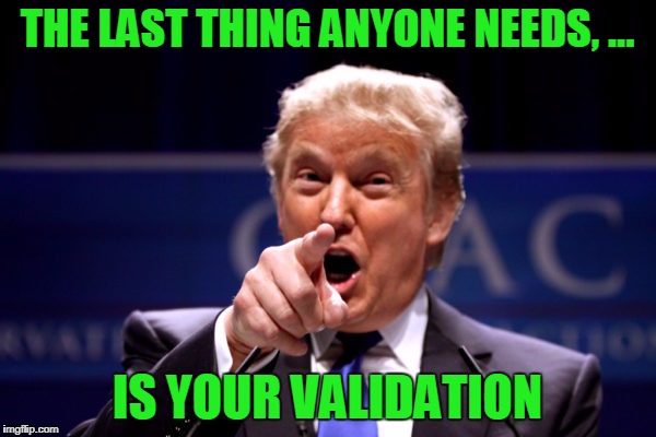 Your President BWHA-HA-HA! | THE LAST THING ANYONE NEEDS, ... IS YOUR VALIDATION | image tagged in your president bwha-ha-ha | made w/ Imgflip meme maker