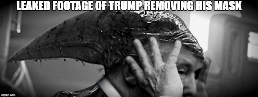 Trumpalien | LEAKED FOOTAGE OF TRUMP REMOVING HIS MASK | image tagged in trump,alien,trump aliens | made w/ Imgflip meme maker