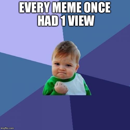 Success Kid | EVERY MEME ONCE HAD 1 VIEW | image tagged in memes,success kid | made w/ Imgflip meme maker