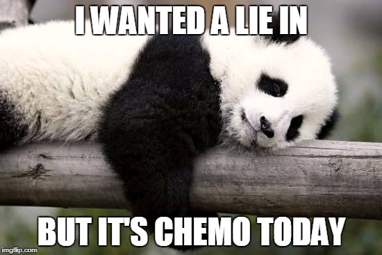 Sleeping Panda | I WANTED A LIE IN; BUT IT'S CHEMO TODAY | image tagged in sleeping panda | made w/ Imgflip meme maker
