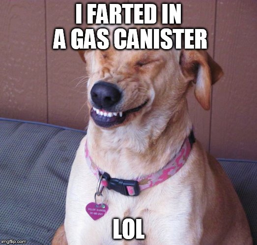 laughing dog | I FARTED IN A GAS CANISTER; LOL | image tagged in laughing dog | made w/ Imgflip meme maker