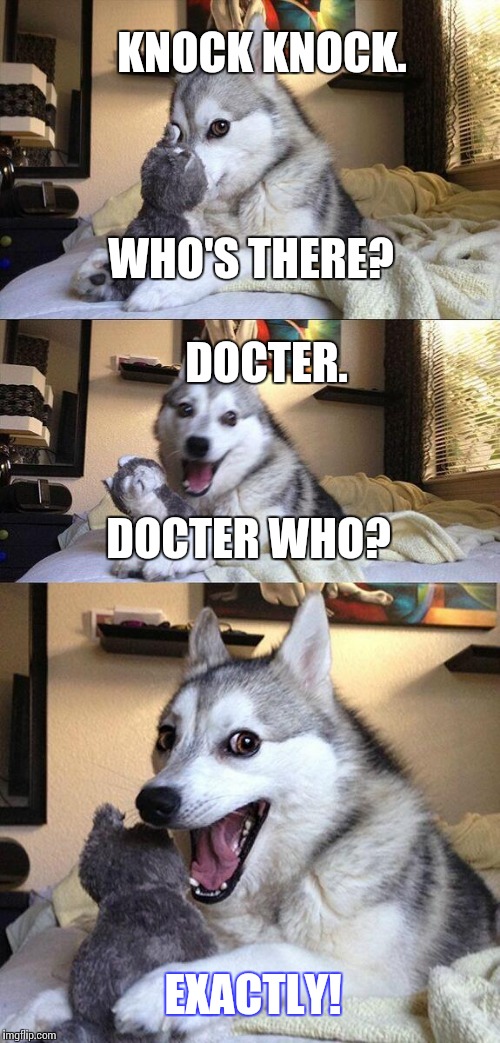 Another one for the books! | KNOCK KNOCK. WHO'S THERE? DOCTER. DOCTER WHO? EXACTLY! | image tagged in memes,bad pun dog,docter who,funny | made w/ Imgflip meme maker