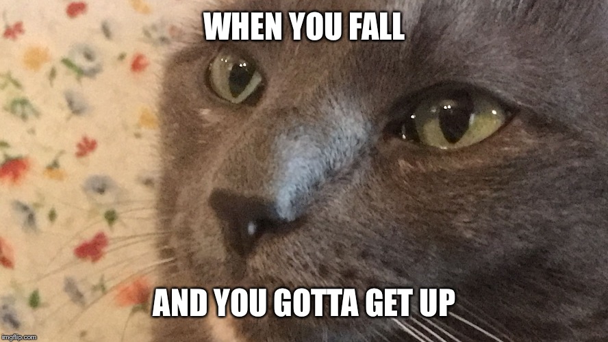 Looking cat | WHEN YOU FALL; AND YOU GOTTA GET UP | image tagged in looking cat | made w/ Imgflip meme maker