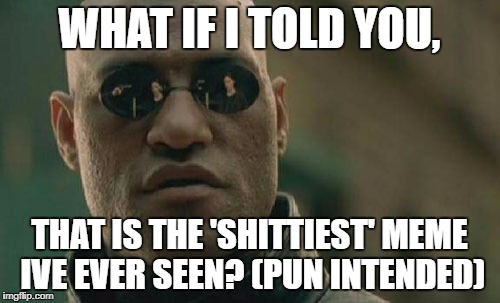 Matrix Morpheus Meme | WHAT IF I TOLD YOU, THAT IS THE 'SHITTIEST' MEME IVE EVER SEEN? (PUN INTENDED) | image tagged in memes,matrix morpheus | made w/ Imgflip meme maker