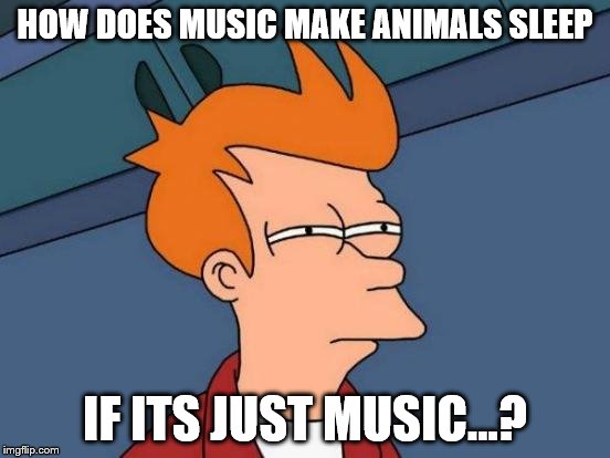 HOW DOES MUSIC MAKE ANIMALS SLEEP IF ITS JUST MUSIC...? | image tagged in memes,futurama fry | made w/ Imgflip meme maker