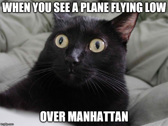 PLANE FLYING LOW OVER MANHATTAN | WHEN YOU SEE A PLANE FLYING LOW; OVER MANHATTAN | image tagged in 9/11,oh shit,wtf,al qaeda,isis,nyc | made w/ Imgflip meme maker