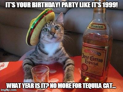Tequila Cat On Birthdays | IT'S YOUR BIRTHDAY! PARTY LIKE IT'S 1999! WHAT YEAR IS IT? NO MORE FOR TEQUILA CAT... | image tagged in tequila cat,birthday,cats | made w/ Imgflip meme maker