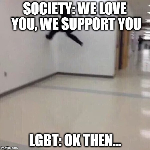 Ok then... | SOCIETY: WE LOVE YOU, WE SUPPORT YOU; LGBT: OK THEN... | image tagged in floor is,society,lgbt | made w/ Imgflip meme maker
