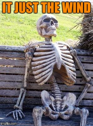 Waiting Skeleton Meme | IT JUST THE WIND | image tagged in memes,waiting skeleton | made w/ Imgflip meme maker