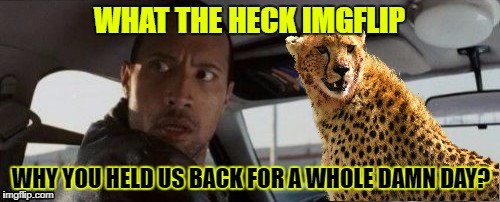 WHAT THE HECK IMGFLIP WHY YOU HELD US BACK FOR A WHOLE DAMN DAY? | made w/ Imgflip meme maker