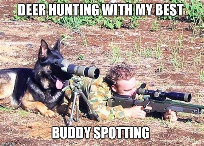 Dog spotter on sniper team | DEER HUNTING WITH MY BEST; BUDDY SPOTTING | image tagged in dog spotter on sniper team | made w/ Imgflip meme maker