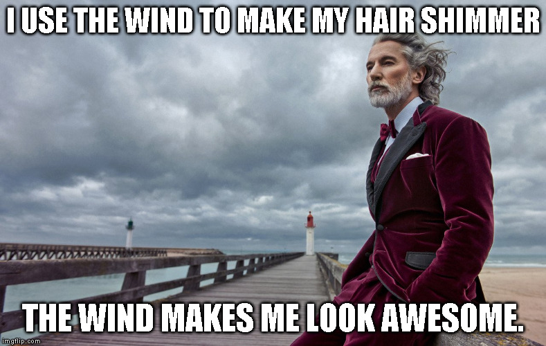 My hair is windy
 | I USE THE WIND TO MAKE MY HAIR SHIMMER; THE WIND MAKES ME LOOK AWESOME. | image tagged in hair,smooth | made w/ Imgflip meme maker