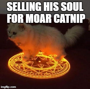 SELLING HIS SOUL FOR MOAR CATNIP | image tagged in cats | made w/ Imgflip meme maker