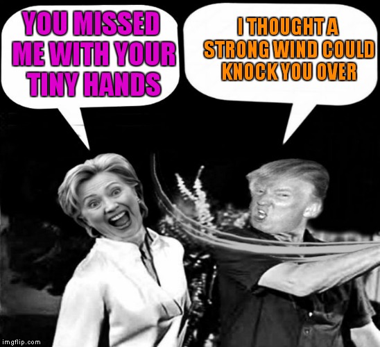 Whiffff.... | I THOUGHT A STRONG WIND COULD KNOCK YOU OVER; YOU MISSED ME WITH YOUR TINY HANDS | image tagged in trump slap hillary | made w/ Imgflip meme maker