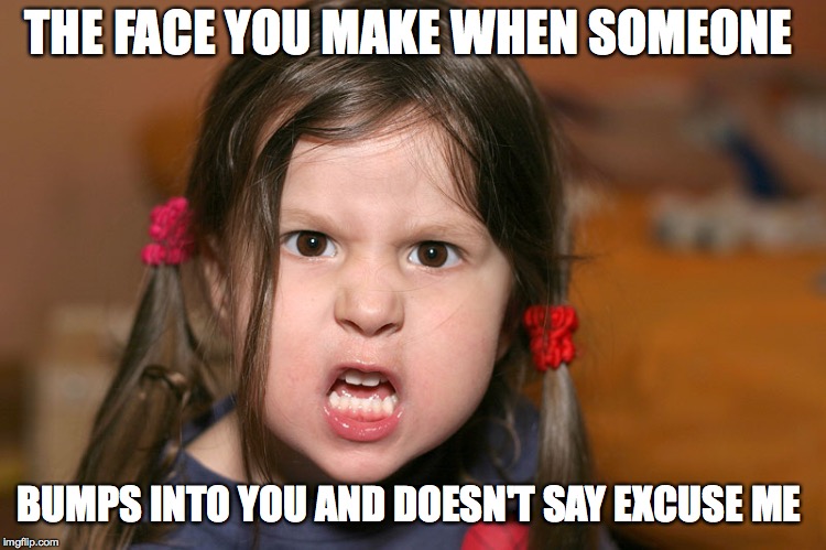 pissed off girl | THE FACE YOU MAKE WHEN SOMEONE; BUMPS INTO YOU AND DOESN'T SAY EXCUSE ME | image tagged in pissed off girl | made w/ Imgflip meme maker