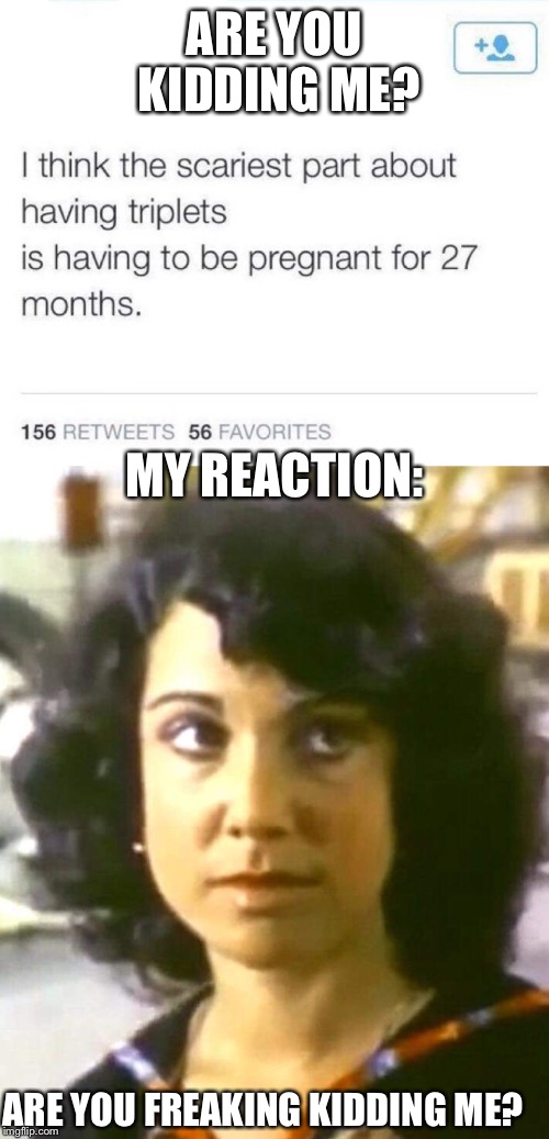 Judy Resnik's Reaction To a Very Stupid Tweet | ARE YOU KIDDING ME? MY REACTION:; ARE YOU FREAKING KIDDING ME? | image tagged in stupidity,memes,funny memes,astronaut,space shuttle,nasa | made w/ Imgflip meme maker