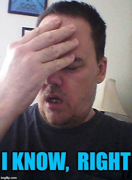 face palm | I KNOW,  RIGHT | image tagged in face palm | made w/ Imgflip meme maker